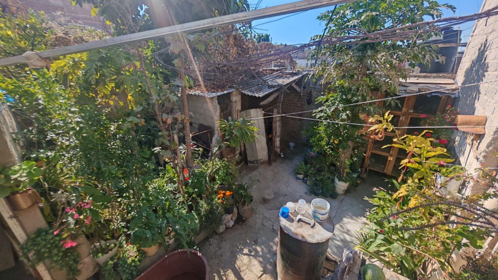 wp-17641687158973838378691192371577