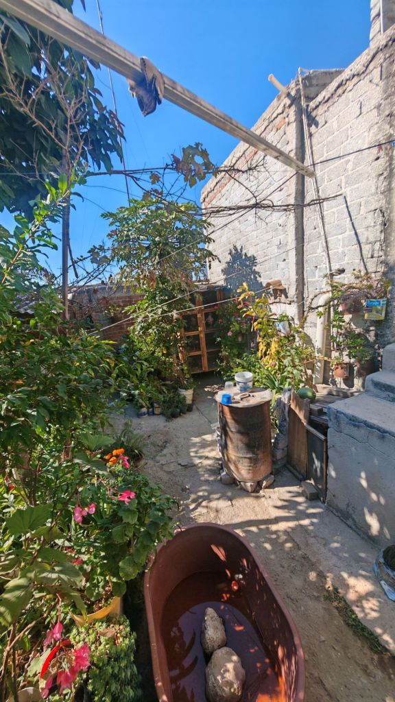 wp-17641687159981433120057764387187